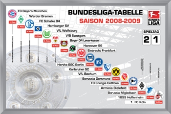 Bundesliga Tabelle 2008/09